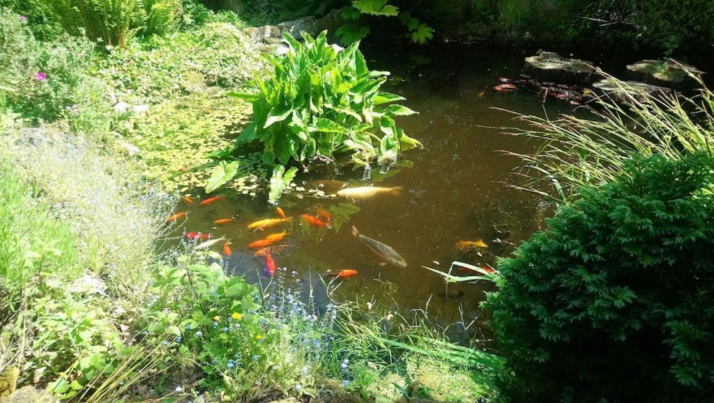 'monktonmead Lodge' In Secluded Setting, With Private Indoor Pool. Chalet Ryde (Isle of Wight)